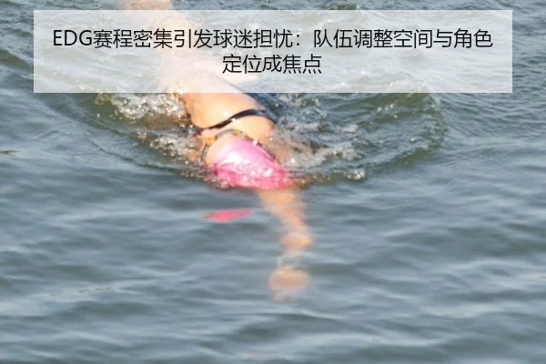 EDG赛程密集引发球迷担忧：队伍调整空间与角色定位成焦点